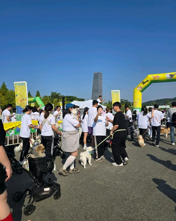 둔산대공원 사진 4