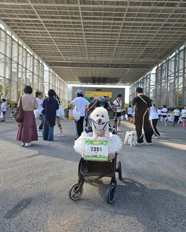 둔산대공원 사진 5