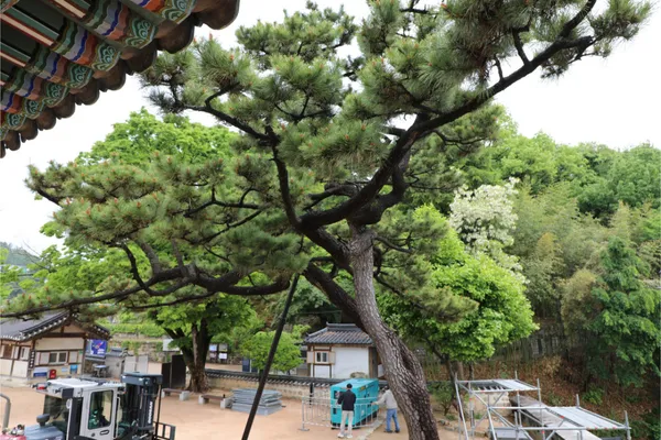 Cheonjingung, photo 5