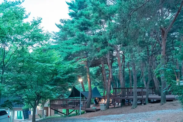 용봉산캠핑장 사진 2