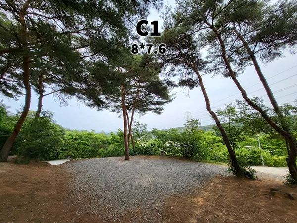 용봉산캠핑장 사진 3