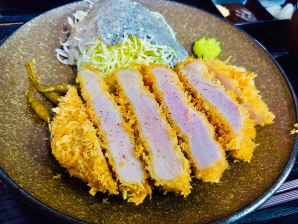 엘리카츠 사진 2