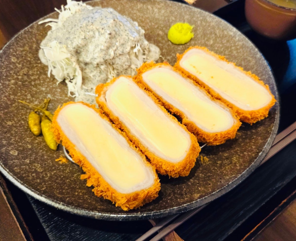 엘리카츠 사진 4