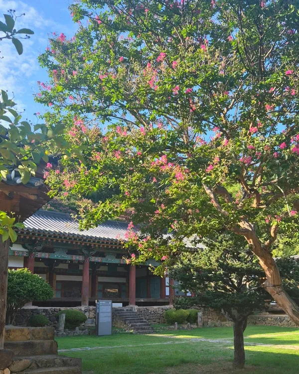 밀양향교 사진 3