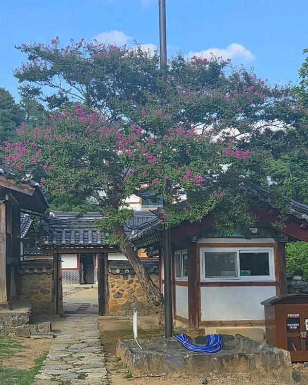 밀양향교 사진 5