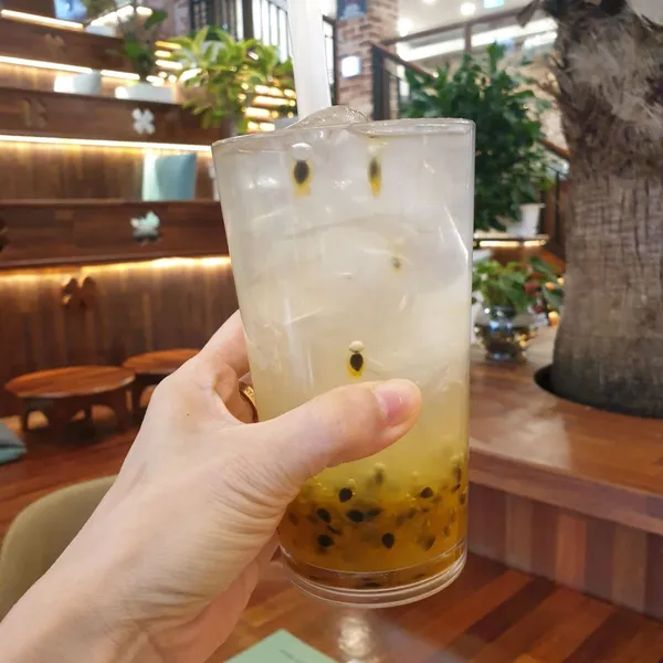 네잎클로버 사진 4