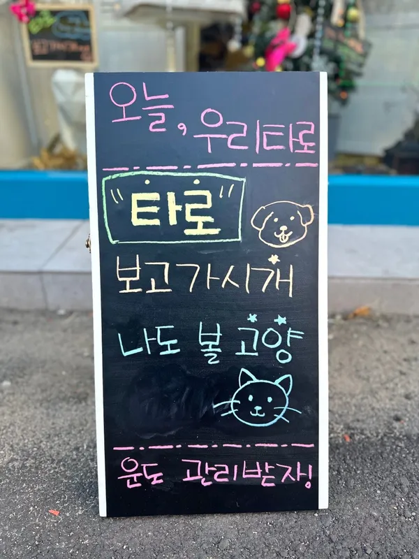 오늘우리타로 사진 4