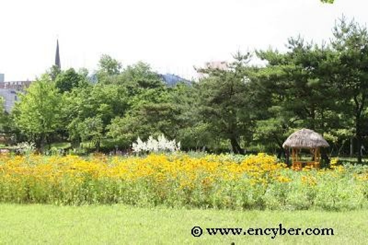 부평 신트리공원 사진 4