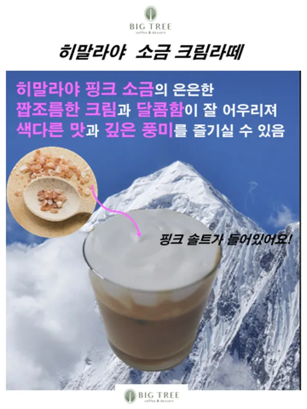 빅트리 사진 5
