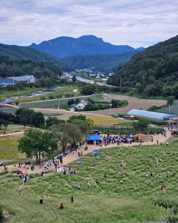 평창 효석문화제 사진 4