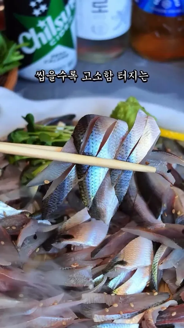 팔팔회관 산오징어 사진 2