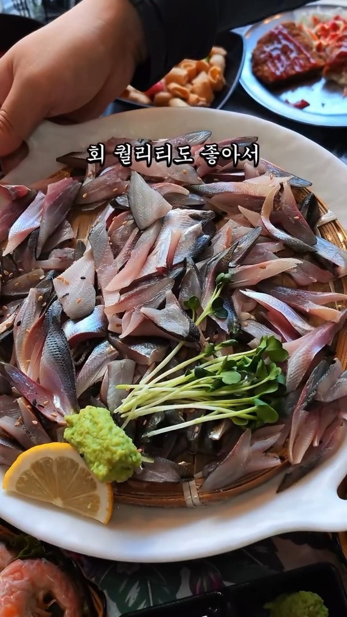 팔팔회관 산오징어 사진 3