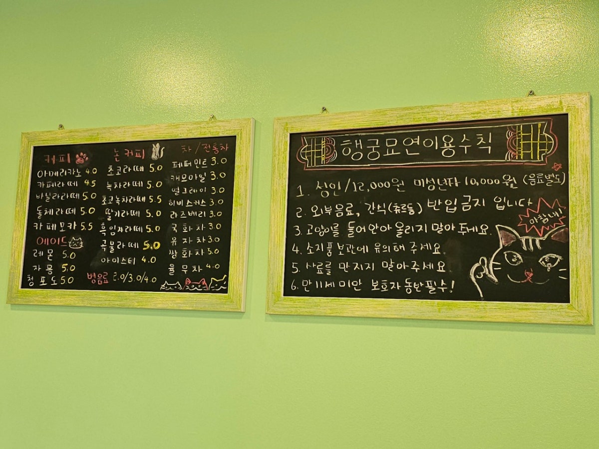 고양이카페행궁묘연 수원행궁점 사진 5
