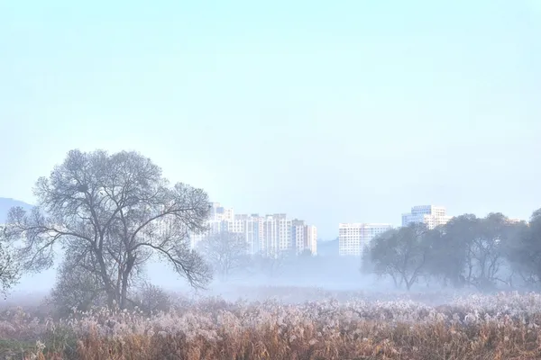 황룡친수공원 사진 2