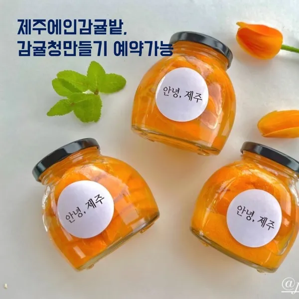 서귀포 제주에인감귤밭 카페 사진 2