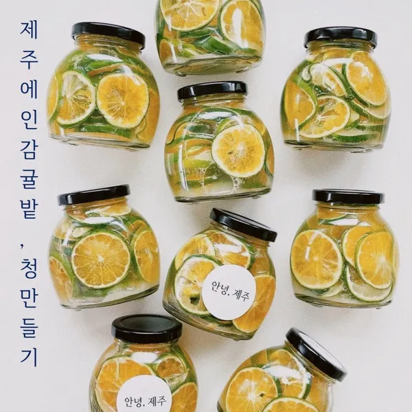 서귀포 제주에인감귤밭 카페 사진 3