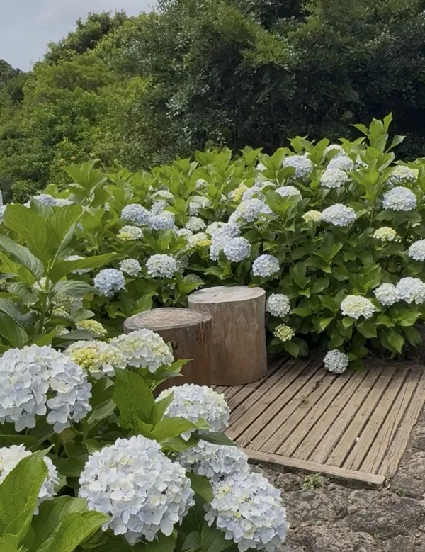 가시림 수목원 사진 3