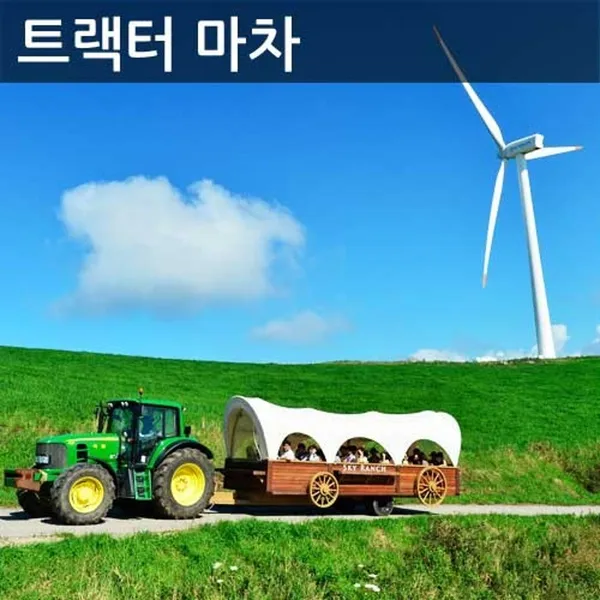 대관령 하늘목장 사진 2