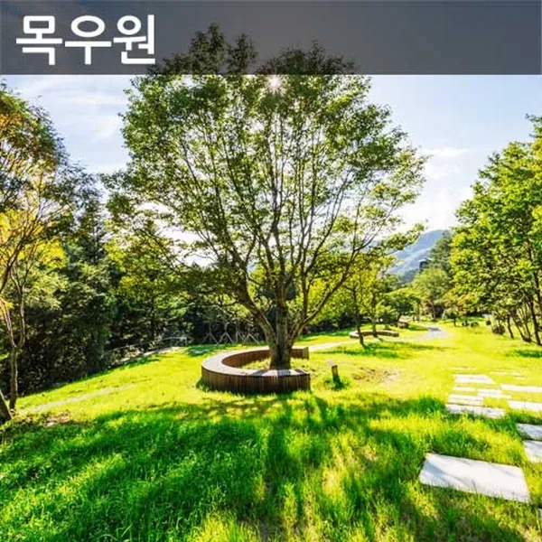 대관령 하늘목장 사진 3