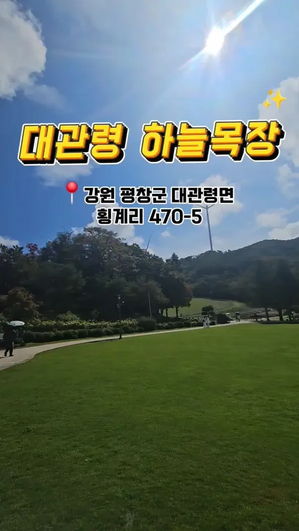 대관령 하늘목장 사진 5