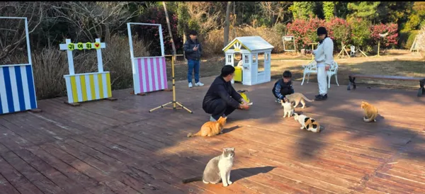 제주김녕미로공원 사진 2