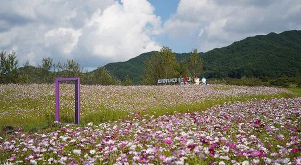 지리산허브밸리 사진 2
