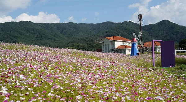 지리산허브밸리 사진 3