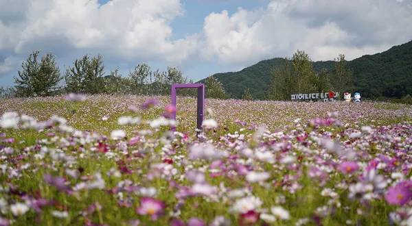 지리산허브밸리 사진 4