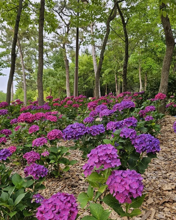 빛가람호수공원 사진 3