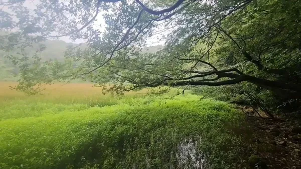 물영아리 사진 5