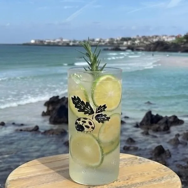 도토리 제주점 사진 4