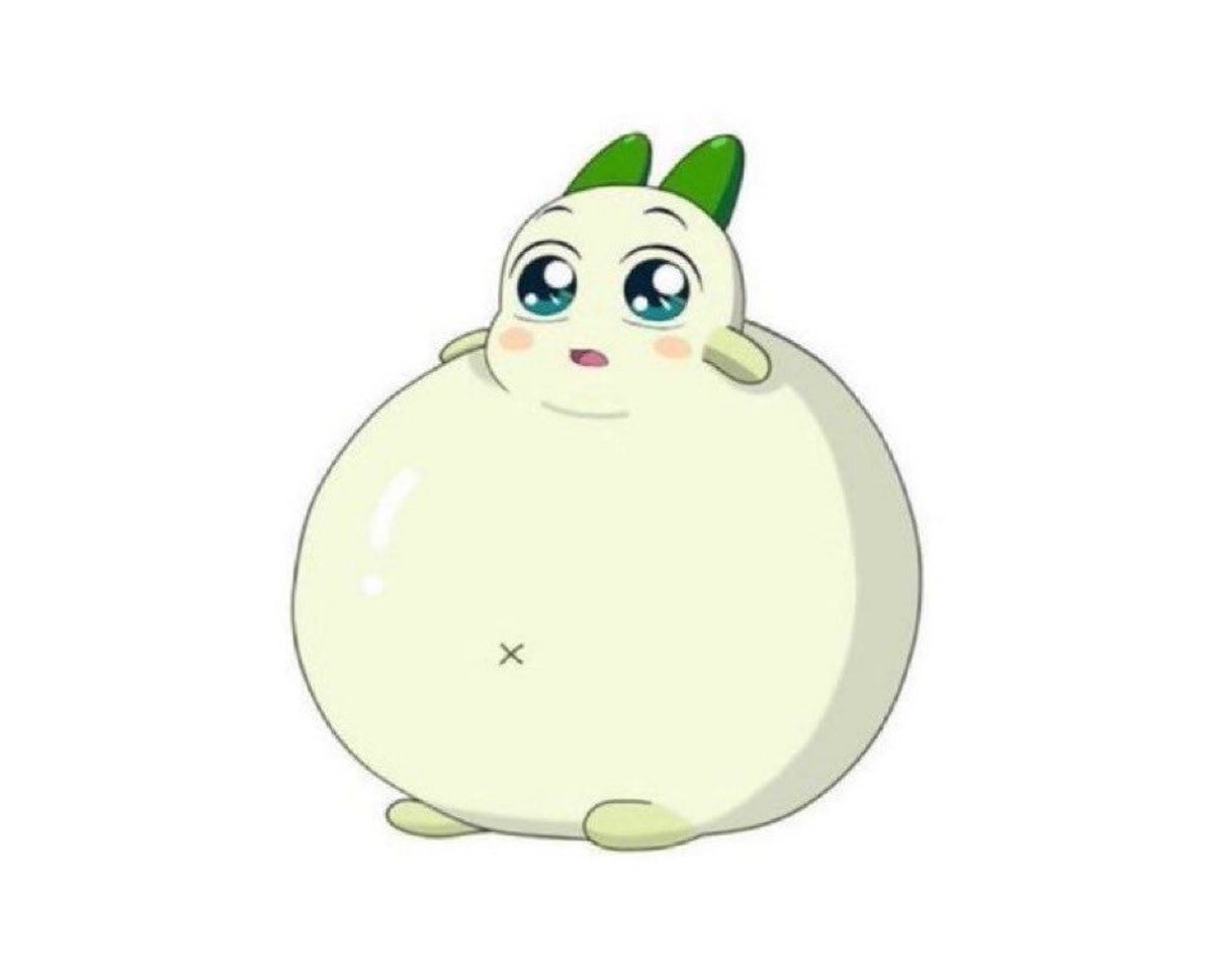 집애김밥 깨비점 사진 5