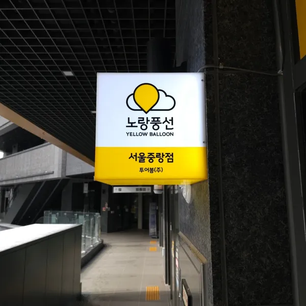 노랑풍선 투어봄 사진 4