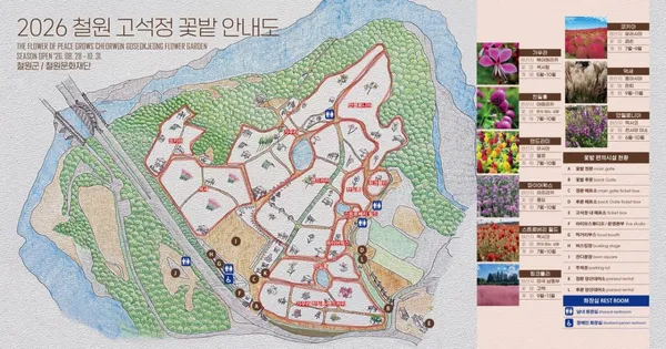 고석정꽃밭 사진 3