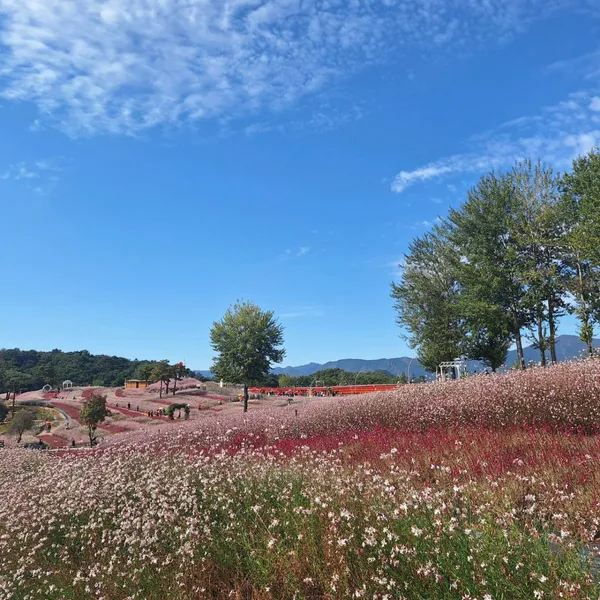 Goseokjeong Kkotbat, photo 4