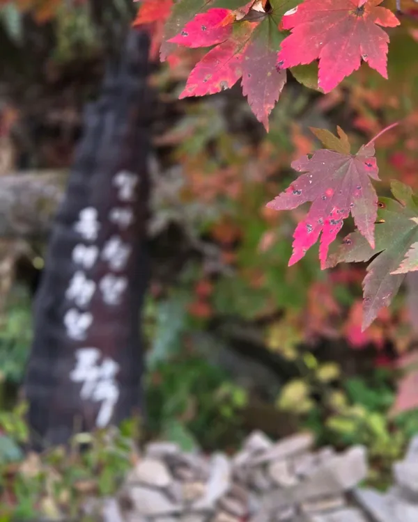 발왕산 기 스카이워크, photo 5