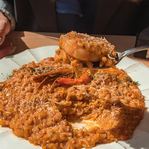 베이비치크 사진 4