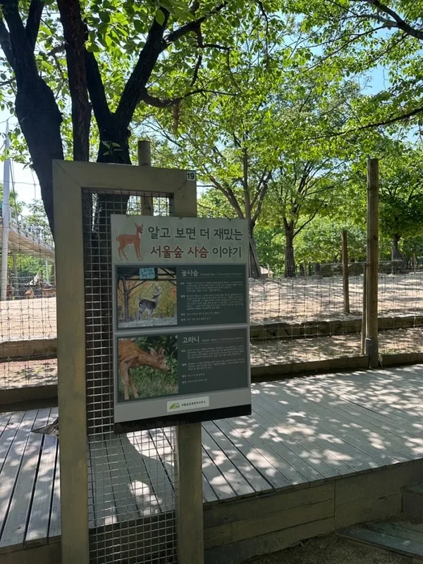서울숲꽃사슴방사장 사진 2