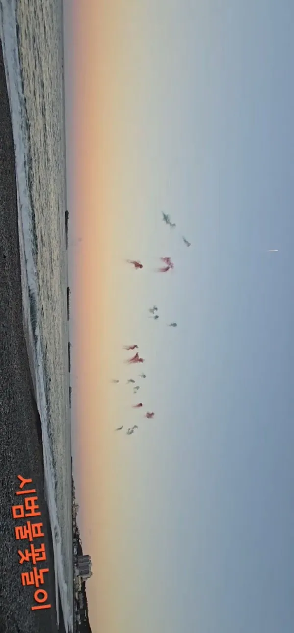 주전몽돌해변 사진 5