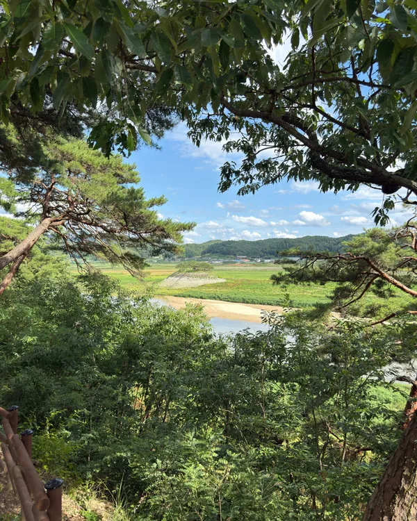 시사단 사진 5