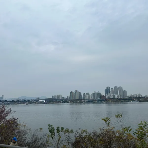 탄천 사진 2