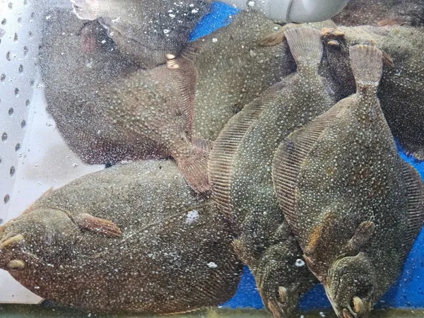 만복회해산물 뱅뱅사거리점 사진 3