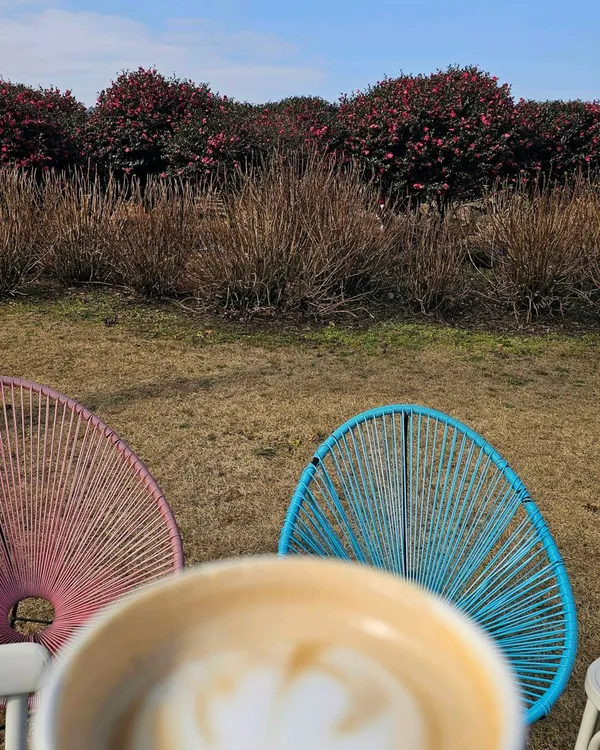 カフェ グレンコの写真4