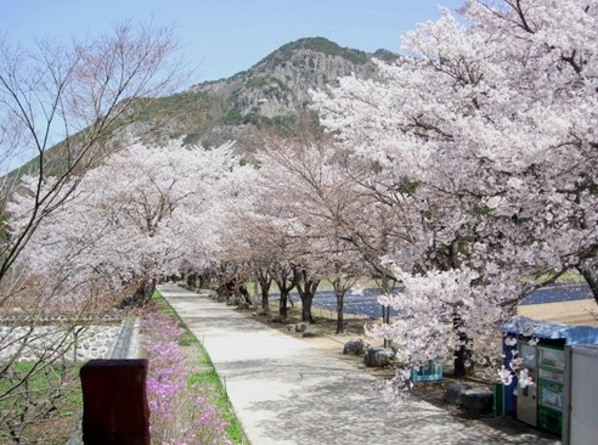 운문사 사진 2