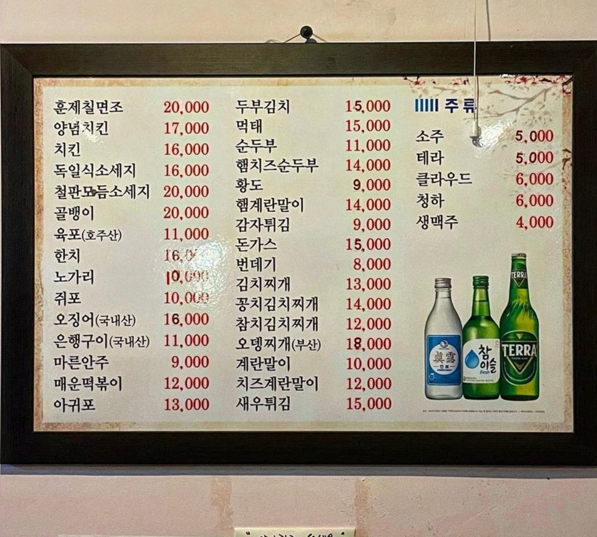 극동골뱅이 사진 5