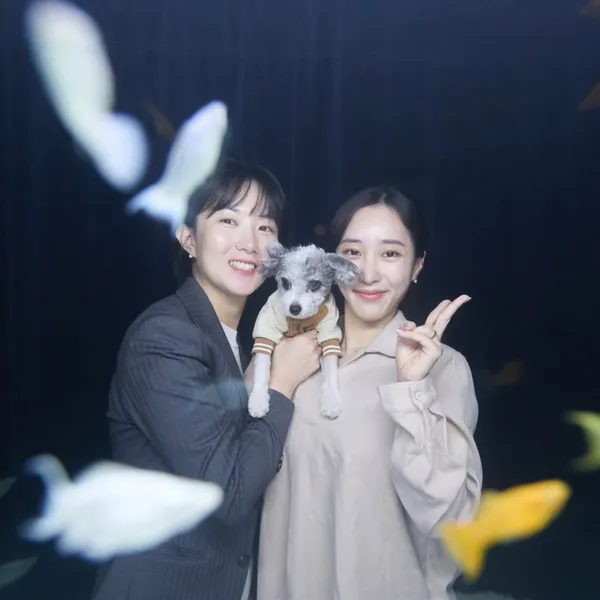 Coco Film Hongdae Photo Studio, photo 5