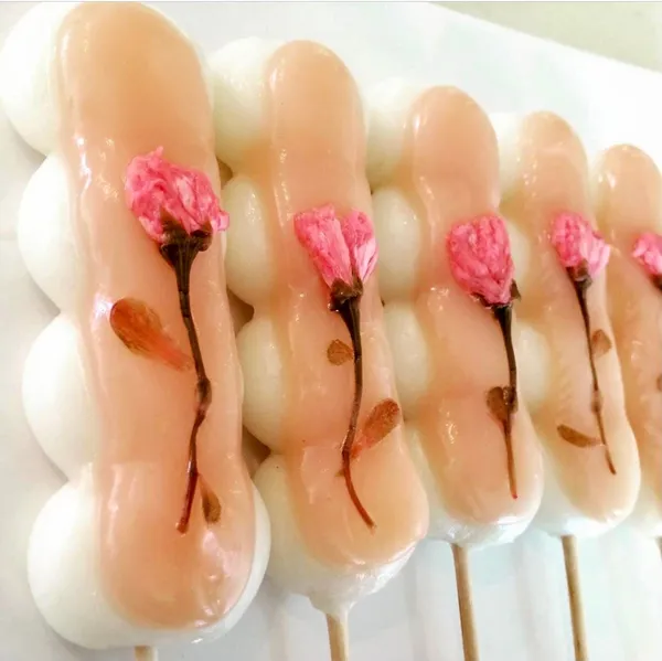 당고집 사진 2