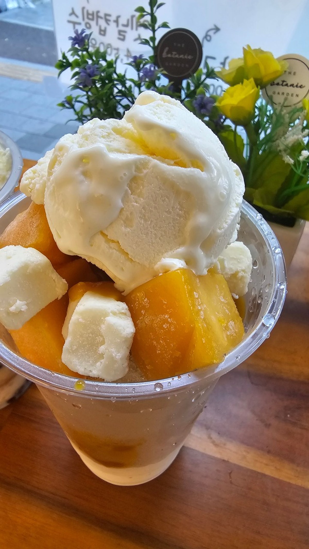호두콩콩 사진 4