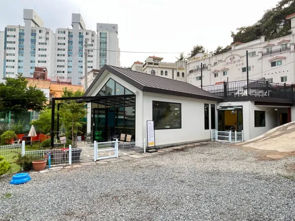 멍숲 사진 2