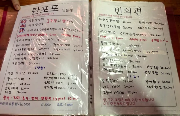 탄포포 사진 4